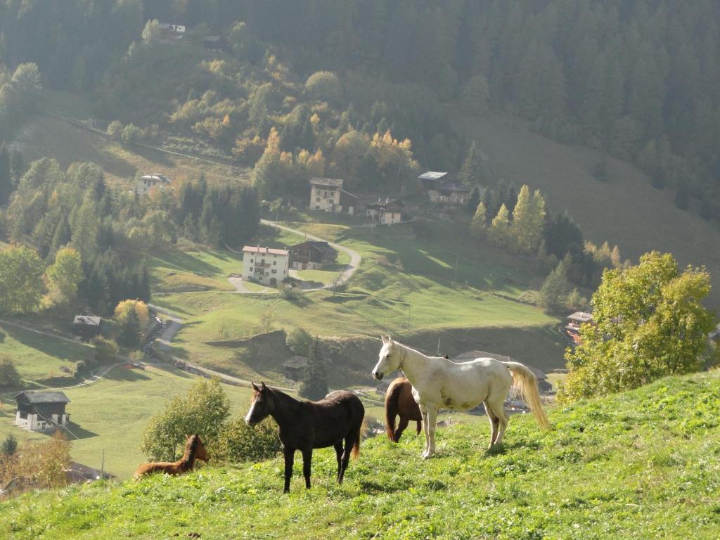 B&B Mas Di Zonadi Rabbi Exteriör bild