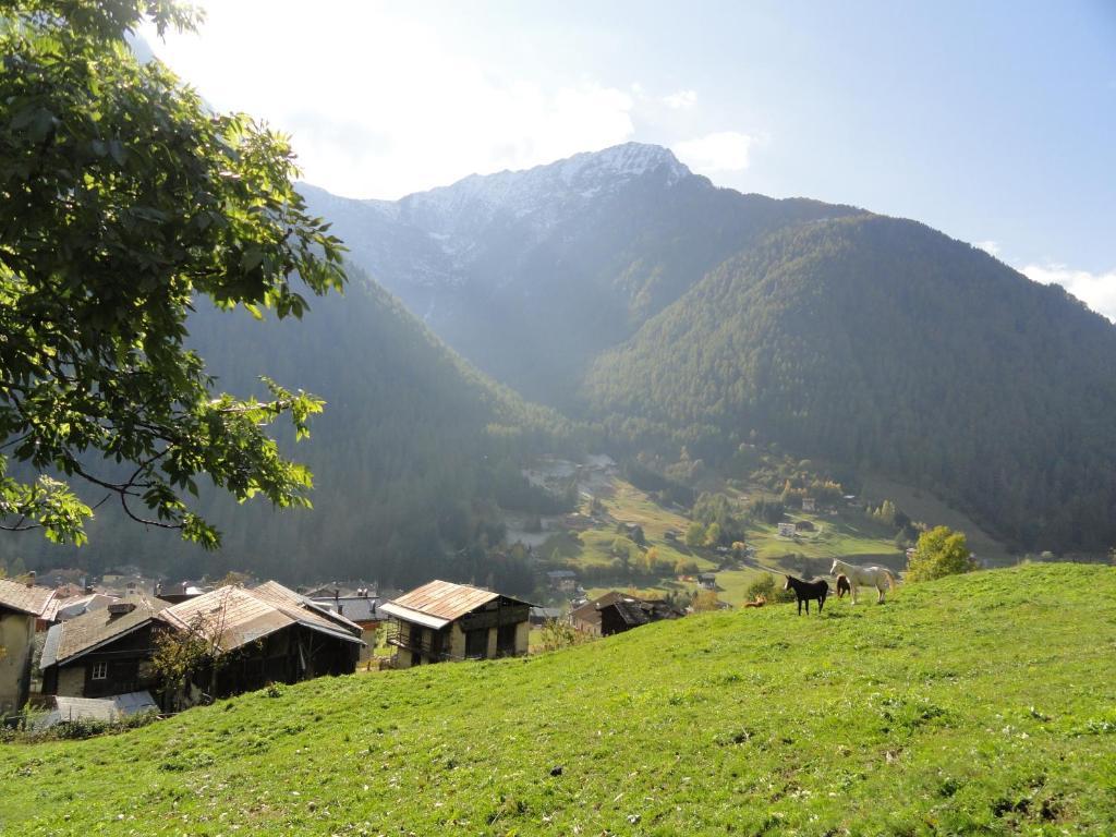 B&B Mas Di Zonadi Rabbi Exteriör bild