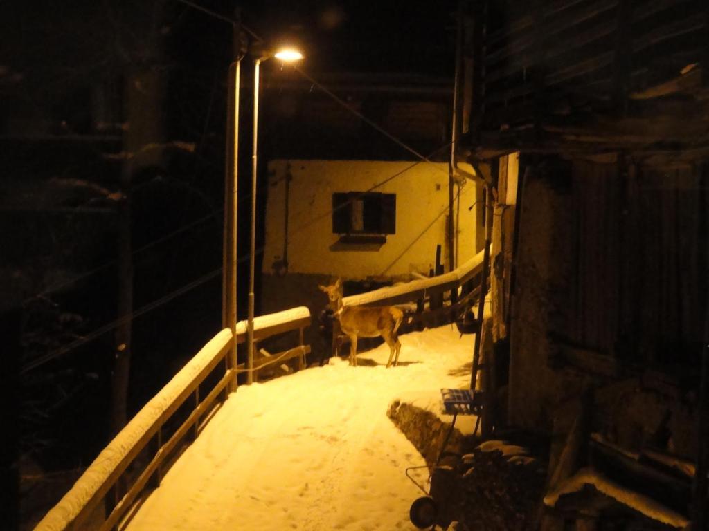 B&B Mas Di Zonadi Rabbi Exteriör bild